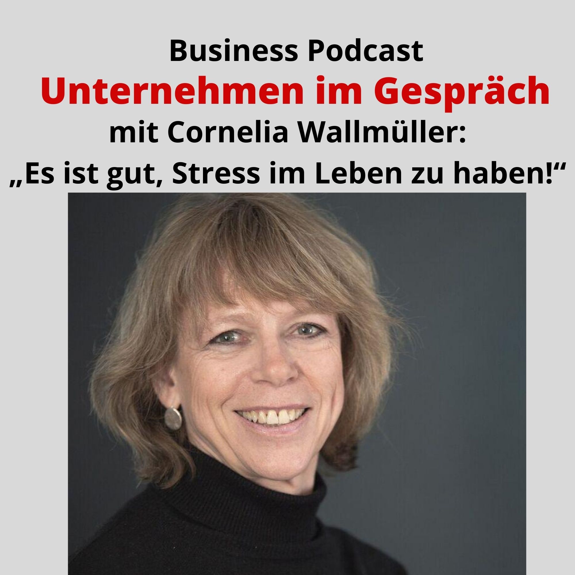 Was soll daran gut sein, Stress im Leben zu haben?