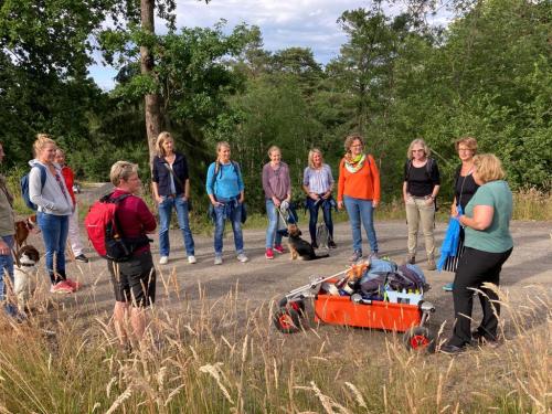 21.06.2022 - Mittsommer im Wald